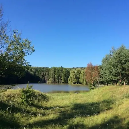 Wild & Free Private Lake