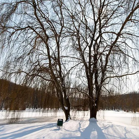 Wild & Free Private Lake * Nagycsepely